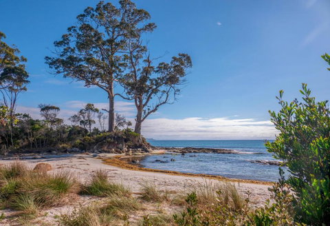 Adventure Bay Holiday Home - Airlie Beach Holiday 3