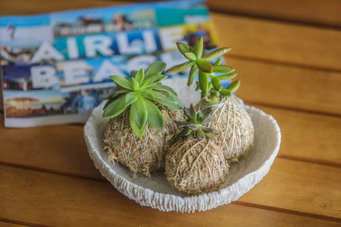 Airlie Guest House - Airlie Beach Holiday 1