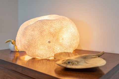 Airlie Guest House - Airlie Beach Holiday 2