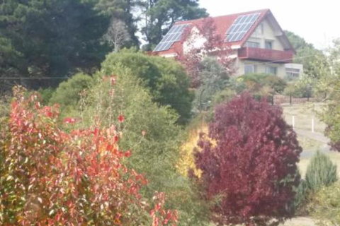 Abelia BIG SPA NO 1 Cottage - Airlie Beach Holiday 2