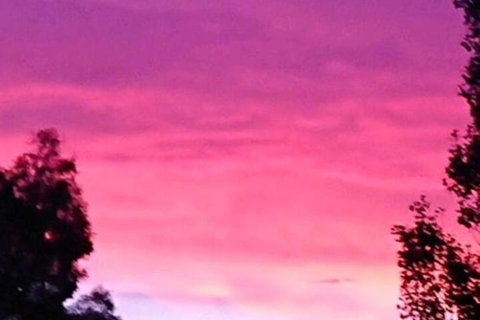 Abelia BIG SPA NO 1 Cottage - Airlie Beach Holiday 6