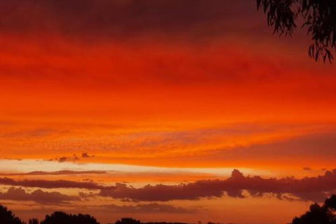 Abelia BIG SPA NO 1 Cottage - Airlie Beach Holiday 4