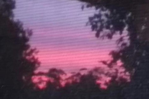 Abelia BIG SPA NO 1 Cottage - Airlie Beach Holiday 7