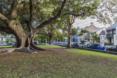 A Walk To Syd Uni & RPA Hospital - Airlie Beach Holiday 1