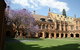 A Walk To Syd Uni & RPA Hospital - thumb 0
