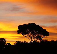 Lindsays of Kangaroo Island - Airlie Beach Holiday