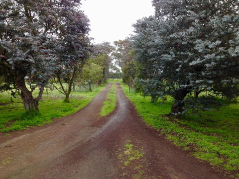 Fairy Wren Cottage Country To Coast Retreat - Airlie Beach Holiday 4