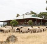 Gilgraves Vineyard Farmstay - Airlie Beach Holiday