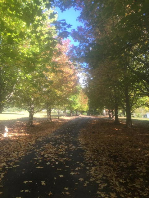 A Peaceful Cabin In The Country - Airlie Beach Holiday 2
