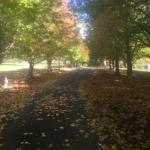 A Peaceful Cabin In The Country - Airlie Beach Holiday 0
