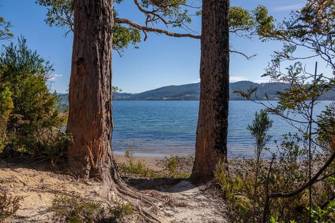 Fairwinds Tasmania - Airlie Beach Holiday 6