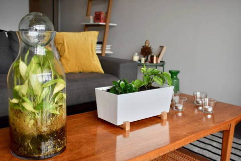 Stylish 1 Bedroom Apartment By Melbourne Park In Richmond - Airlie Beach Holiday 1