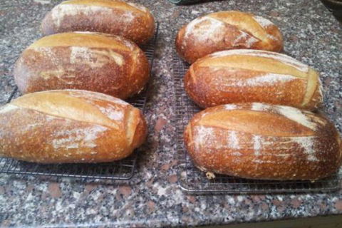 Appin Homestay B & B - Airlie Beach Holiday 6