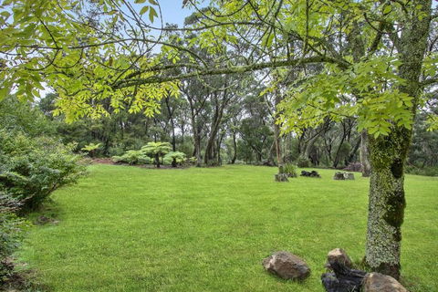 THE TEACHERS COTTAGE - Airlie Beach Holiday 6