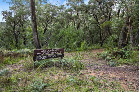 THE TEACHERS COTTAGE - Airlie Beach Holiday 5
