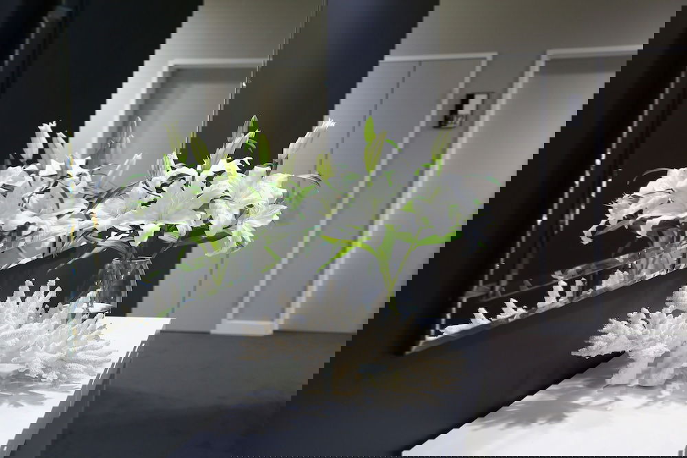 Augustine Heights QLD Airlie Beach Holiday