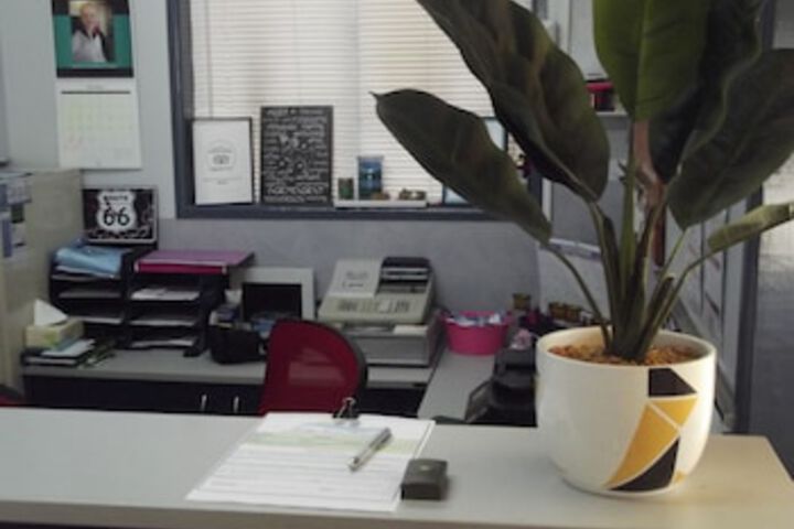 Atkinsons Dam QLD Airlie Beach Holiday