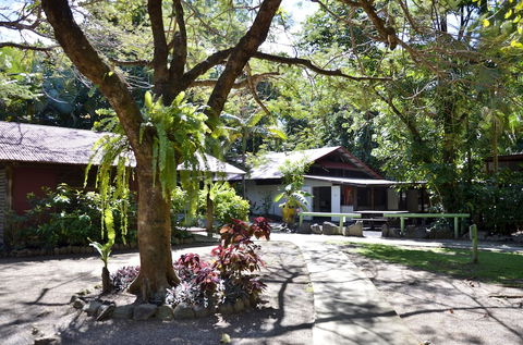 PKs Jungle Village - Hostel - Airlie Beach Holiday 5