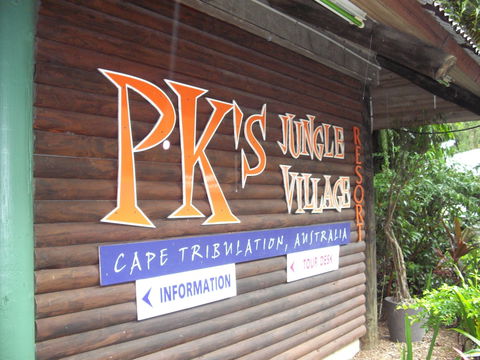 PKs Jungle Village - Hostel - Airlie Beach Holiday 0