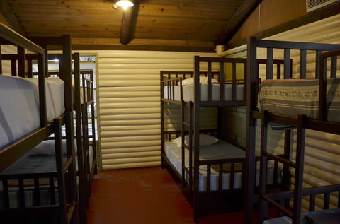 PKs Jungle Village - Hostel - Airlie Beach Holiday 6