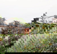 A Must At Coonawarra - Airlie Beach Holiday