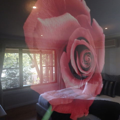 Bowral Road Bed And Breakfast - Airlie Beach Holiday 5