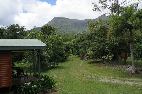 Cape Trib Farmstay - Airlie Beach Holiday 5