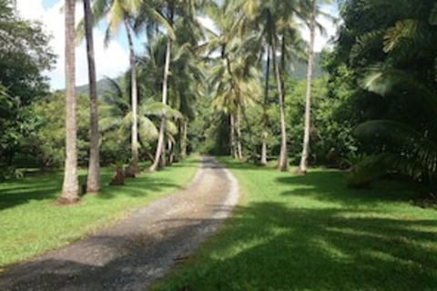 Cape Trib Farmstay - Airlie Beach Holiday 0