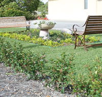 SureStay by BW The Clarence on Melville - Airlie Beach Holiday