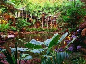 Daintree Eco Lodge & Spa - Airlie Beach Holiday 0