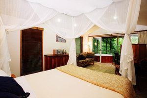 Daintree Eco Lodge & Spa - Airlie Beach Holiday 1