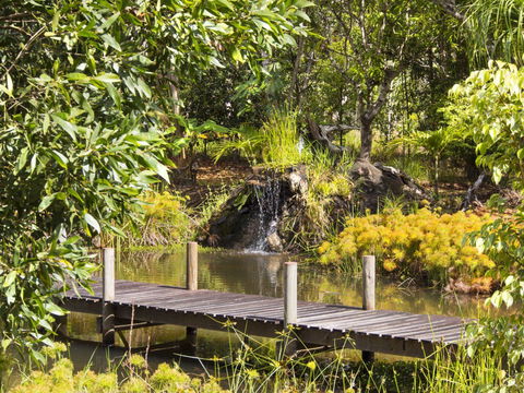 Cedar Park Rainforest Resort - Airlie Beach Holiday 0