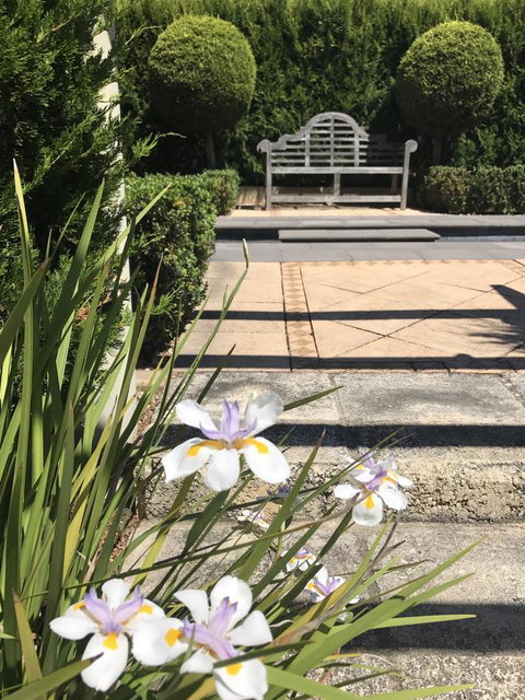 S T U D I O 22 Peaceful Retreat With Garden Views - Airlie Beach Holiday 13