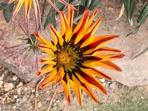 Aussie Opal Diggers Outback Retreat-Undergound - Airlie Beach Holiday 26