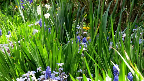 The Pig And Whistle - Airlie Beach Holiday 23