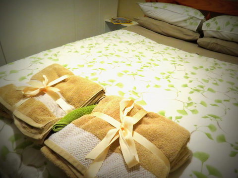 The Pig And Whistle - Airlie Beach Holiday 3