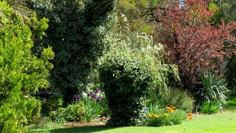 The Pig And Whistle - Airlie Beach Holiday 19