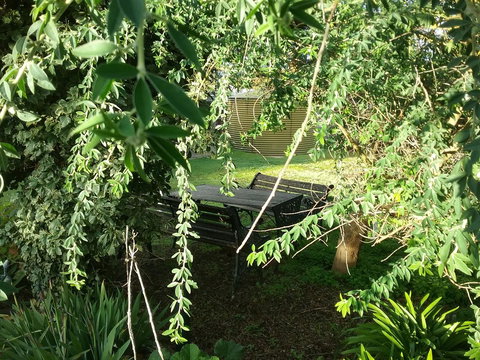 The Pig And Whistle - Airlie Beach Holiday 43