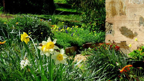 The Pig And Whistle - Airlie Beach Holiday 20