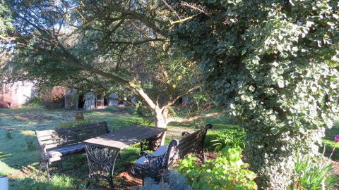 The Pig And Whistle - Airlie Beach Holiday 14