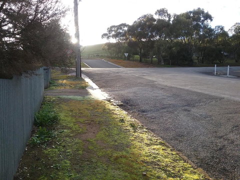 The Pig And Whistle - Airlie Beach Holiday 33