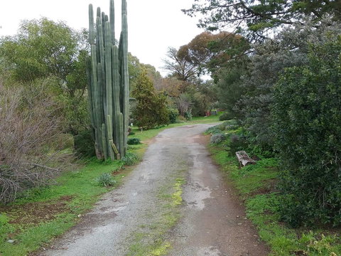 The Pig And Whistle - Airlie Beach Holiday 37