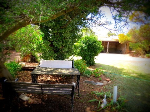 The Pig And Whistle - Airlie Beach Holiday 5