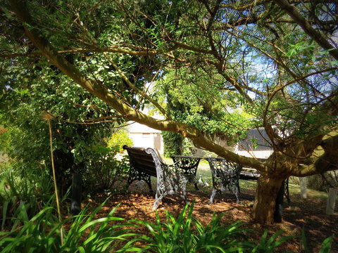 The Pig And Whistle - Airlie Beach Holiday 4