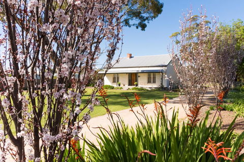 20 Hill Avenue Bed & Breakfast - Airlie Beach Holiday 1