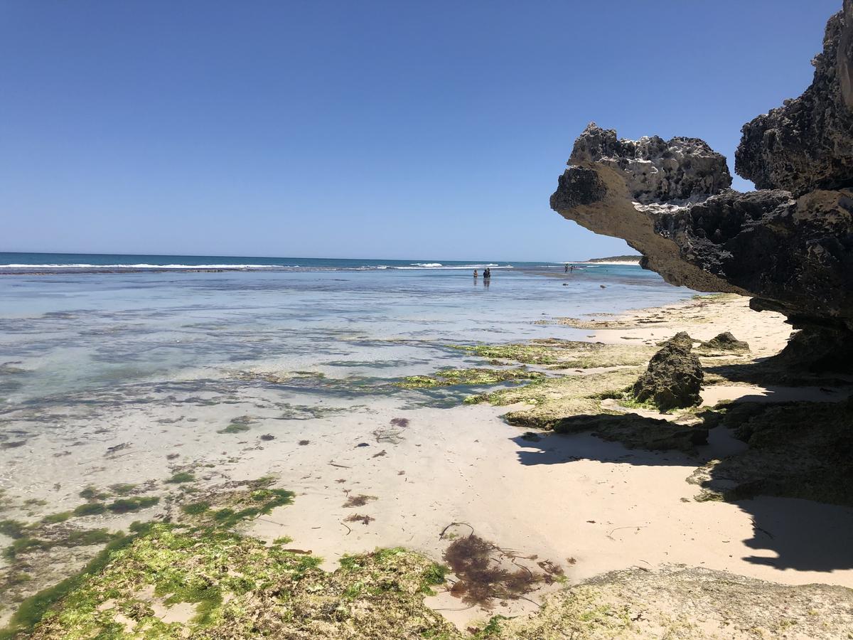 Yanchep WA Airlie Beach Holiday