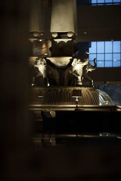 Residence On Langley Park - Airlie Beach Holiday 30