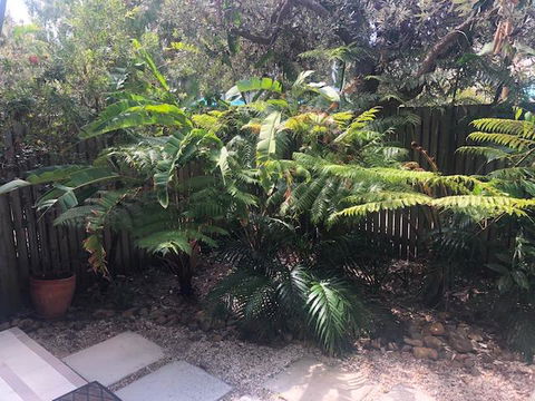 East On Byron - Airlie Beach Holiday 40