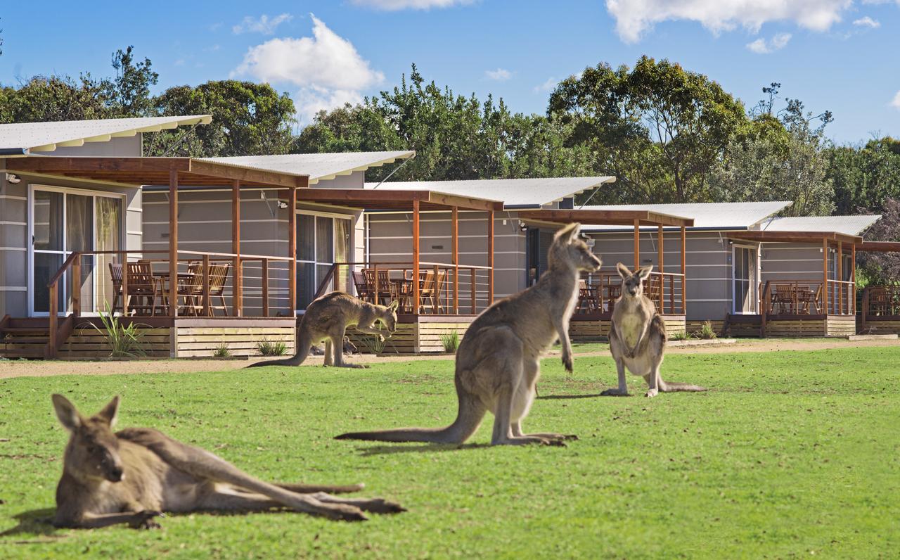  Airlie Beach Holiday