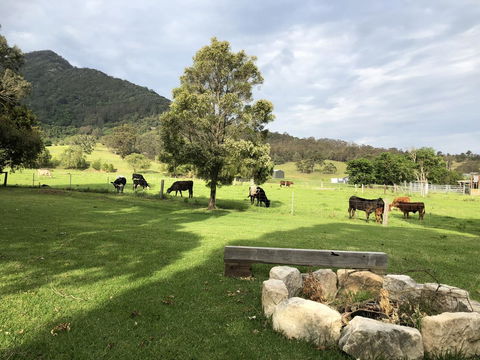 Arcadia - The Barn Cottage & Rosehill Cottage - Airlie Beach Holiday 29